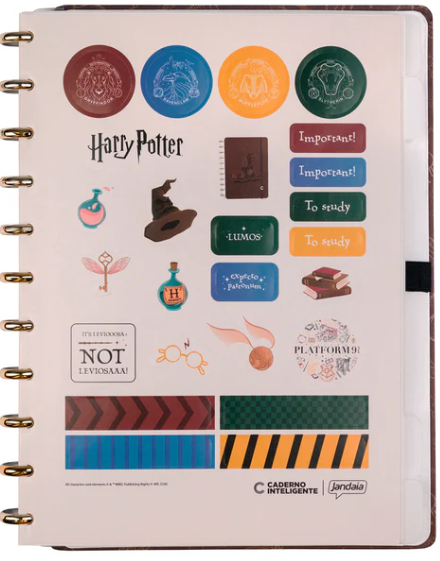 CADERNO CI BY HARRY POTTER CHAPÉU SELETOR